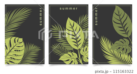 Banners, covers or posters with tropical leaves for corporate identity, advertising. Summer bright cover templates. Illustration Banners, covers or posters with tropical leaves for corporate identity, advertising. Summer bright cover templates. Illustration 115163322