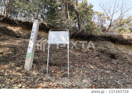 二ツ岳の軽石層 115163728