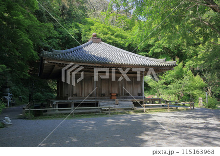 新緑の富貴寺大堂 新緑の富貴寺大堂 115163968