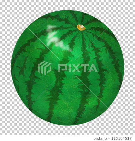 リアルなスイカ1玉 115164537