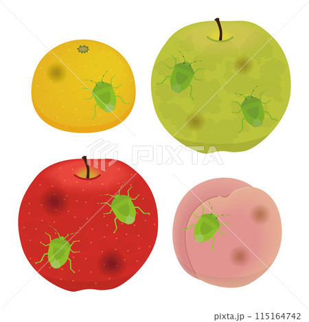 カメムシの被害にあった果樹のイラスト 115164742