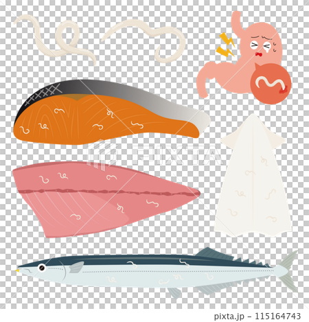 アニサキスのイラスト 115164743