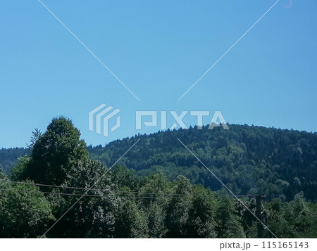 Green natural meadow with grass and beautiful sky 115165143
