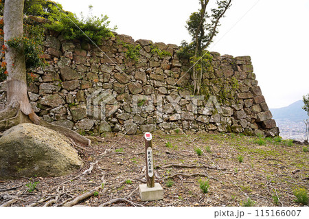 兵庫県淡路島　洲本城　東の丸高石垣跡 115166007