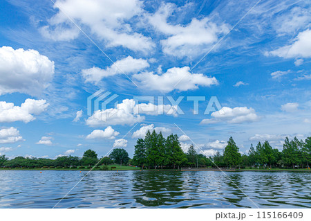 池と青空と白い雲 115166409