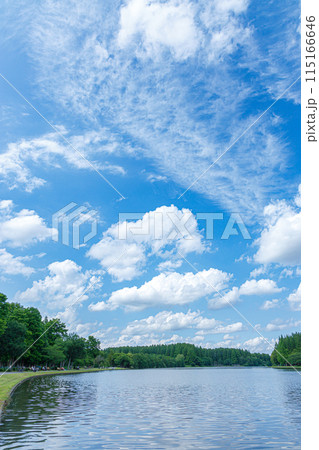 夏の青空と白い雲 115166646