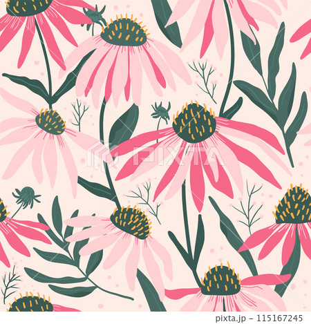 Coneflowers seamless pattern. Floral endless background. Purple echinacea flower and leaves ornament. Happy summer rustic mood. Foliage and botanic continuous cover. Vector hand drawn illustration. Coneflowers seamless pattern. Floral endless background. Purple echinacea flower and leaves ornament. Happy summer rustic mood. Foliage and botanic continuous cover. Vector hand drawn illustration. 115167245