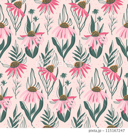 Seamless pattern featuring stylized pink Echinacea purpurea. Purple coneflowers light pink repeat background. Vector flat hand drawn illustration. Seamless pattern featuring stylized pink Echinacea purpurea. Purple coneflowers light pink repeat background. Vector flat hand drawn illustration. 115167247