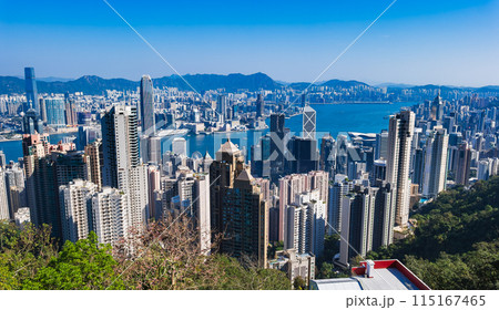 香港　ビクトリアハーバー 115167465