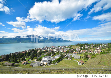 ゴールデンパスラインの車窓から眺めるレマン湖とモントルーの街並み ゴールデンパスラインの車窓から眺めるレマン湖とモントルーの街並み 115167518