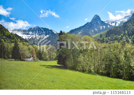 ゴールデンパスラインの美しい車窓の風景 115168113