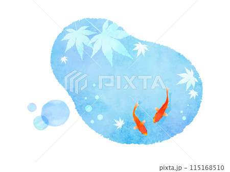 水彩タッチの金魚イラスト 夏イメージ 115168510