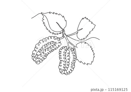 Single continuous line drawing of whole healthy organic mulberries orchard logo identity. Fresh berries fruitage concept for fruit garden icon. Dynamic one line draw graphic design vector illustration Single continuous line drawing of whole healthy organic mulberries orchard logo identity. Fresh berries fruitage concept for fruit garden icon. Dynamic one line draw graphic design vector illustration 115169125