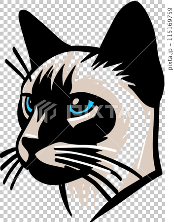 a head of Siamese cat. Vector illustration. 115169759