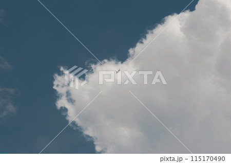 white thunderclouds in blue sky. summer cumulus clouds before rain. Beautiful view of nature 115170490