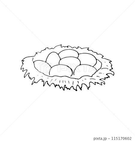 Hand-drawn Nest with eggs. Food illustration isolated on white background. 115170602