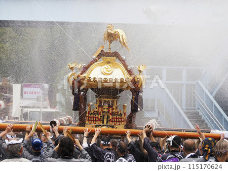 富岡八幡宮例大祭2023 富岡八幡宮例大祭2023 115170624