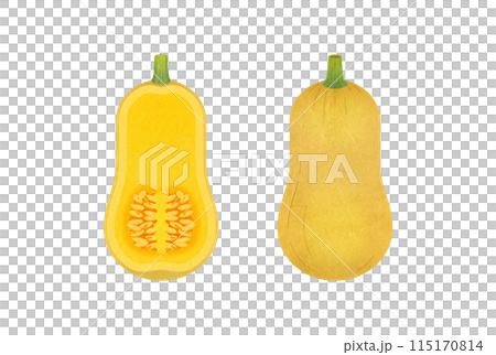 黃油堅果南瓜 黃油堅果南瓜 115170814