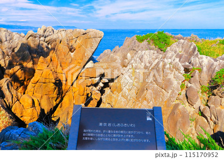 爽やかな青空と唐桑半島潮吹岩 115170952