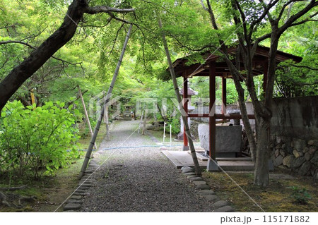 初夏の高野山真言宗 三輪山真真長寺散策・42(岐阜市) 初夏の高野山真言宗 三輪山真真長寺散策・42(岐阜市) 115171882