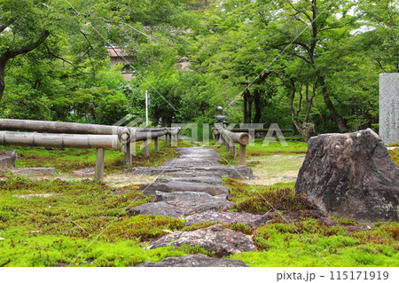 初夏の高野山真言宗　三輪山真真長寺散策・19（岐阜市） 115171919