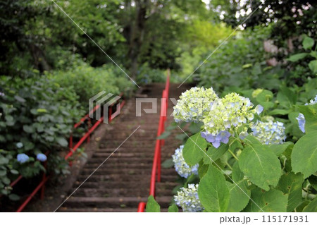 初夏の高野山真言宗　三輪山真真長寺散策・7（岐阜市） 115171931