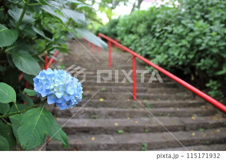 初夏の高野山真言宗　三輪山真真長寺散策・6（岐阜市） 115171932