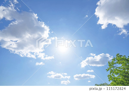 初夏の雲と木立 115172824