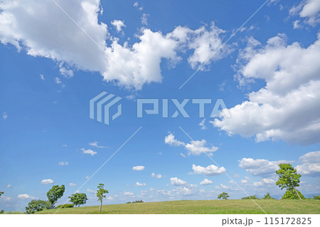 初夏の青空と草原 115172825