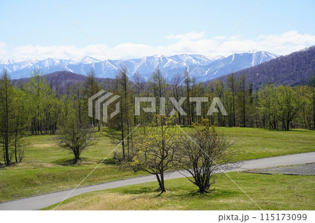 北海道 サホロリゾートベア・マウンテン 北海道 サホロリゾートベア・マウンテン 115173099