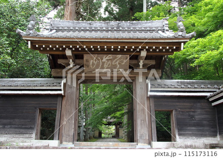 初夏の臨済宗妙心寺派大智寺散策・25（岐阜市） 115173116