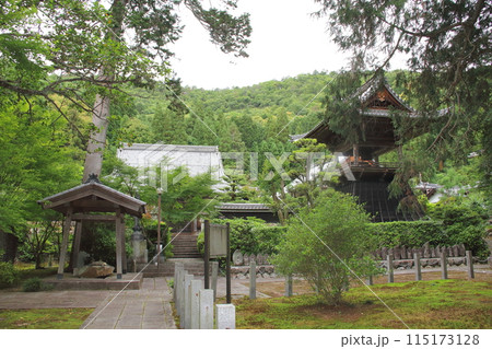 初夏の臨済宗妙心寺派大智寺散策・13（岐阜市） 115173128