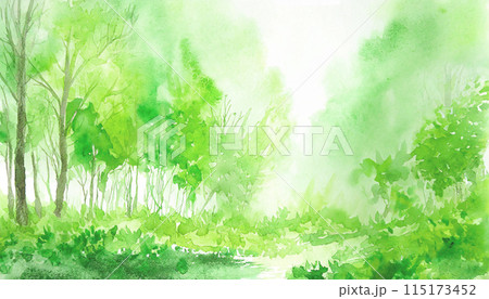 新緑の森の水彩画テイストのイラスト素材 [115173452] - PIXTA