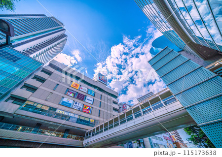 日本の横浜都市景観 6月。上大岡駅前などを望む=3日 日本の横浜都市景観 6月。上大岡駅前などを望む=3日 115173638