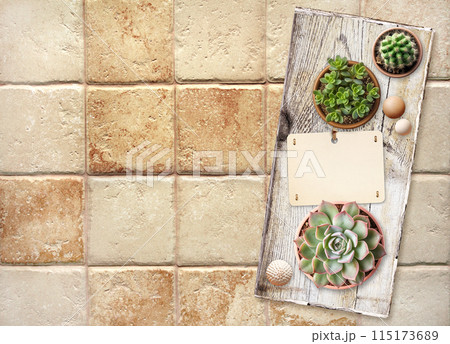 Home garden, hobby and leisure concept. Gardening and floriculture. Background with paper label, wood beads, cactus and succulents in pot on old wooden board. Mock up template. Copy space for text 115173689