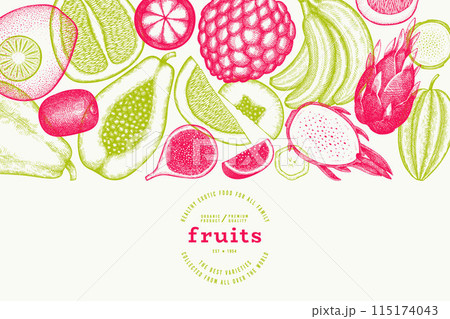 Tropical Fruit Design Template. Vector Hand Drawn Exotic Fruit Banner. Vintage Style Menu Illustration. 115174043