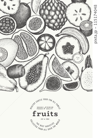 Tropical Fruit Design Template. Vector Hand Drawn Exotic Fruit Banner. Vintage Style Menu Illustration. 115174048