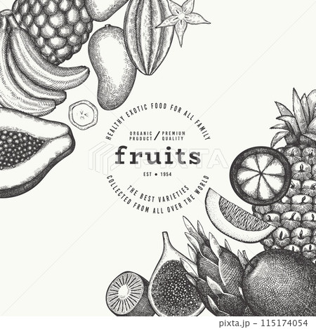 Tropical Fruit Design Template. Vector Hand Drawn Exotic Fruit Banner. Vintage Style Menu Illustration. 115174054