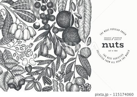 Hand Drawn Nuts Branch And Kernels Template. Organic Seed Vector Design. Retro Nut Illustration. Engraved Style Botanical Banner. Hand Drawn Nuts Branch And Kernels Template. Organic Seed Vector Design. Retro Nut Illustration. Engraved Style Botanical Banner. 115174060