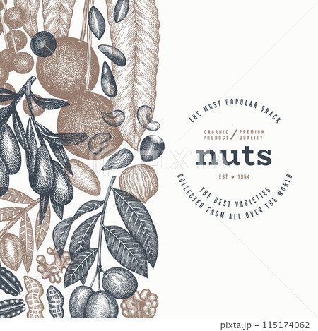 Hand Drawn Nuts Branch And Kernels  Template. Organic Seed Vector Design. Retro Nut Illustration. Engraved Style Botanical Banner. 115174062