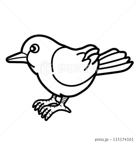 鳥のイラスト 115174101
