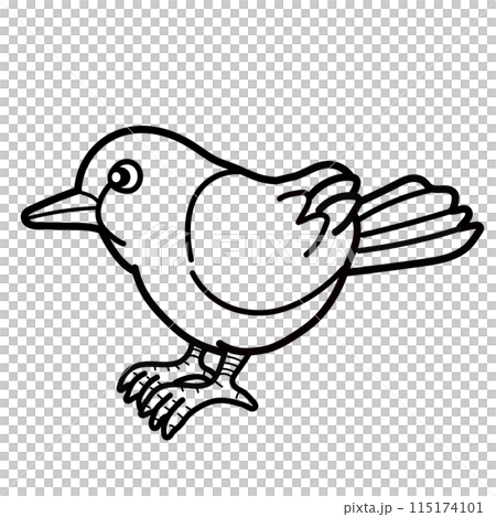 鳥のイラスト 115174101