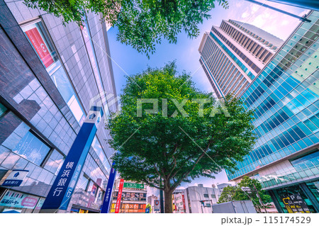 日本の横浜都市景観 6月。上大岡駅前などを望む=3日 日本の横浜都市景観 6月。上大岡駅前などを望む=3日 115174529