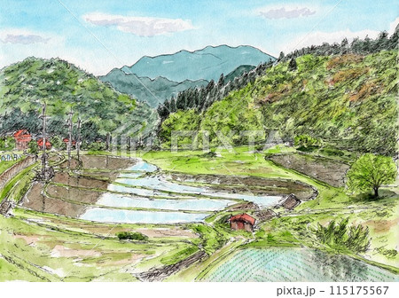 農村の初夏 115175567