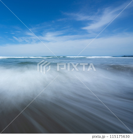 高知の砂浜美術館 115175630