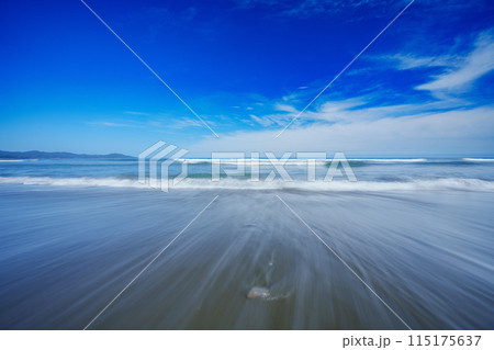 高知の砂浜美術館 115175637