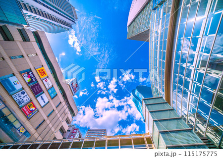 日本の横浜都市景観 6月。上大岡駅前などを望む＝3日 115175775