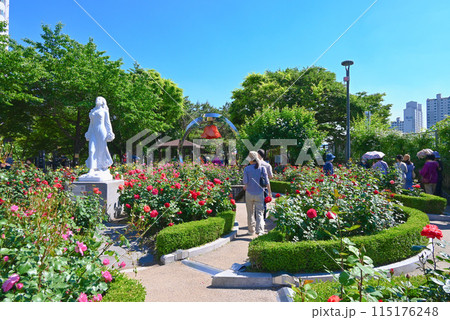 ソウルバラ祭り・中浪バラ公園【韓国/中浪区】 ソウルバラ祭り・中浪バラ公園【韓国/中浪区】 115176248