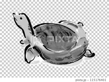 Hand-drawn Japanese-style brush illustration of a soft-shelled turtle 115176401