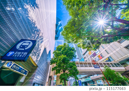 日本の横浜都市景観 6月。新緑に映える横浜市営地下鉄  上大岡駅前（出入口6）や光芒などを望む＝3日 115177083